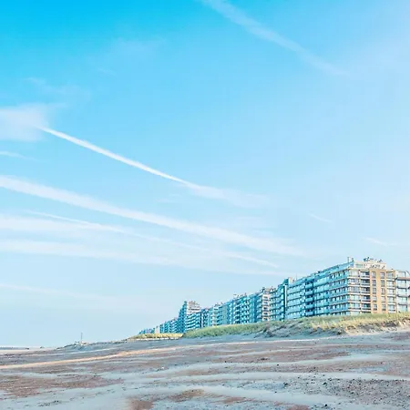 In Near The Marina *