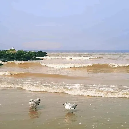 Lägenhet In Near The Marina Nieuwpoort