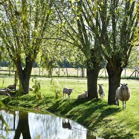 In Near The Marina * Nieuwpoort