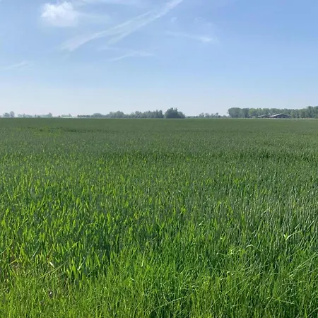 In Near The Marina *