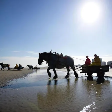 In Near The Marina * Nieuwpoort