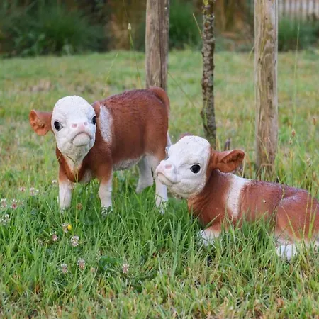 In Near The Marina *