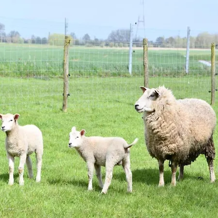In Near The Marina Nieuwpoort