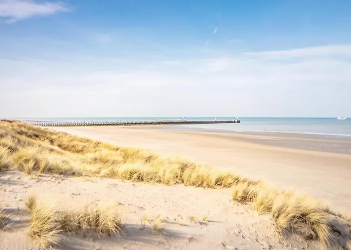 Lejlighed In Near The Marina *