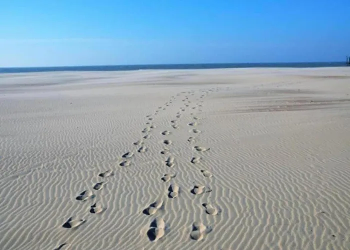 In Near The Marina Lejlighed *