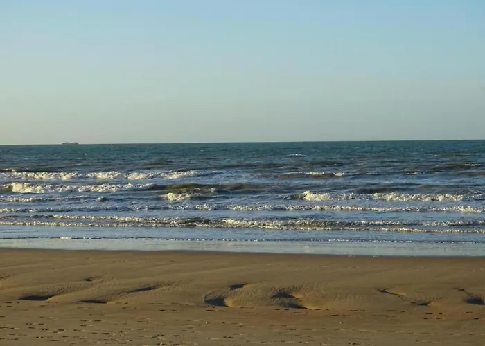 In Near The Marina Nieuwpoort