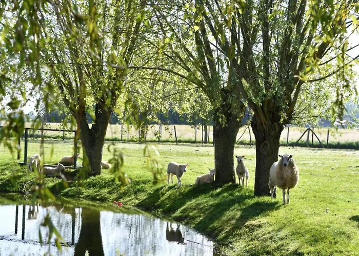 In Near The Marina * Nieuwpoort