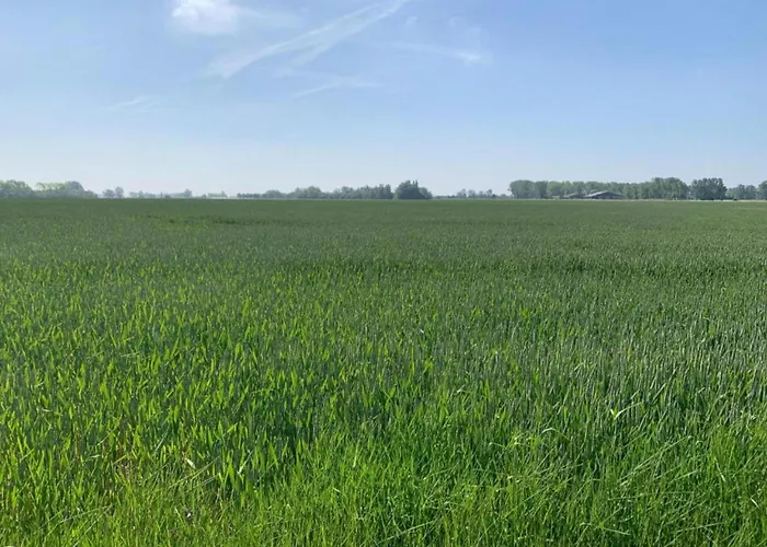 In Near The Marina *