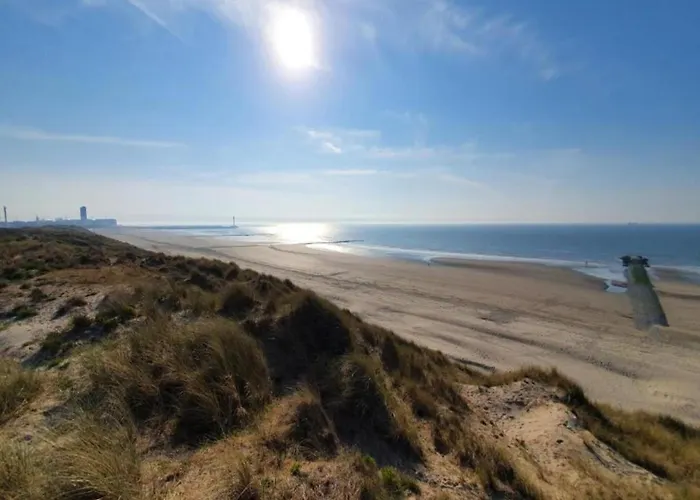 In Near The Marina Nieuwpoort
