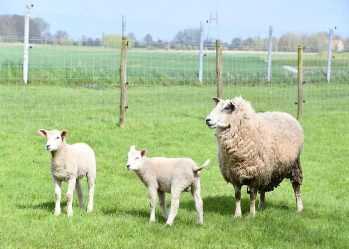 In Near The Marina Nieuwpoort