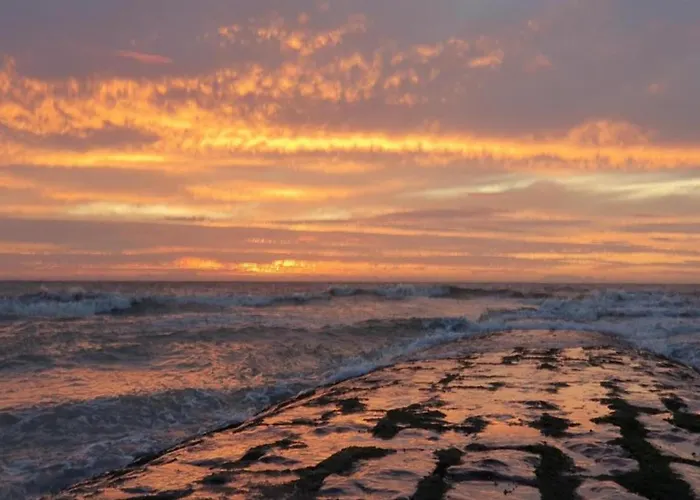 Lejlighed In Near The Marina